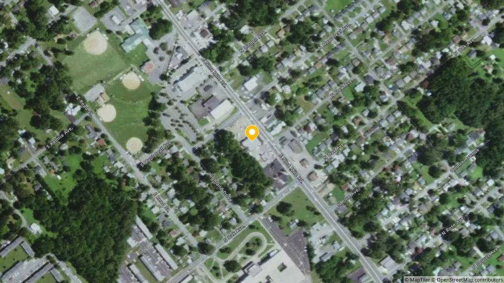 Satellite photo of the location