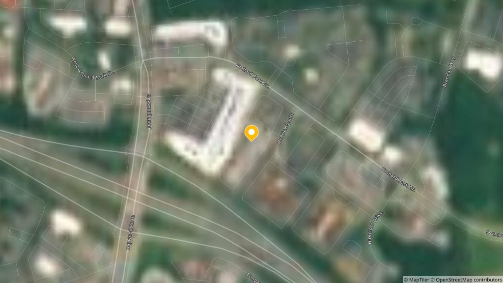 Satellite photo of the location